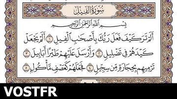 Sourate Al-Fil | Al-Shuraim (105) سورة الفيل | سعود الشريم