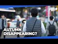 Winter-like cold coming in late October... Is autumn vanishing in Korea?