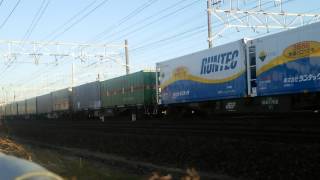 2015/1/28 貨物列車1055レ EF210 4号機(岡)牽引