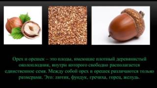 Кое что о плодах Кое что о плодах