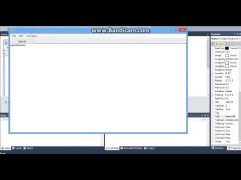VB 2010 How To Make NotePad And Flash