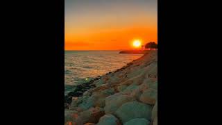 Gelde Gör Bir Şu Halimi😶😓