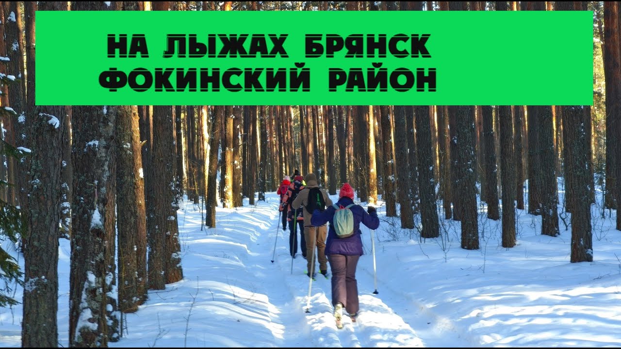 Наши лыжные приключения по Фокинскому району Брянска