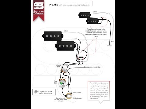 bgg:-precision-bass-series/parallel-mod