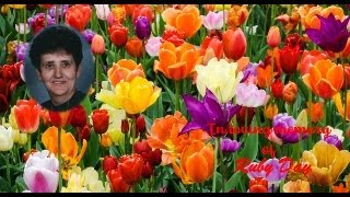 Thumbnail Services Mrs. Ruby Day