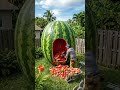 Turning a Giant Watermelon Into a Luxury Home|#shorts #youtubeshorts #viral #usa