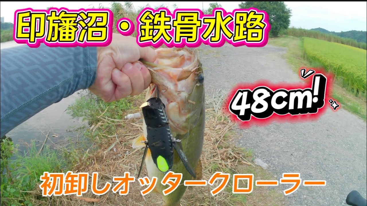 【印旛沼・鉄骨水路】初卸しオッタークローラー数投で印旛バス！！