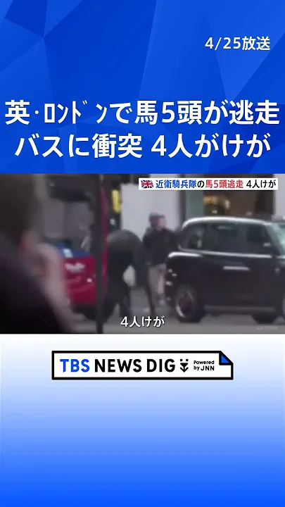 ロンドン中心部で近衛騎兵隊の馬5頭が逃走　バスに衝突するなど4人がけが| TBS NEWS DIG #shorts