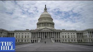 GOP Senator accuses Democrats of "DOUBLE STANDARD" over not accepting election results