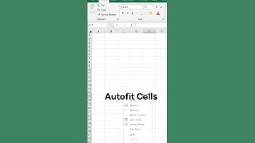 Effortlessly Optimize Your Excel Spreadsheets with Auto-Adjusting Cell Sizes #shorts #trending