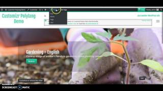 Customizr Pro Theme - Polylang Plugin - Adding Slider to Page