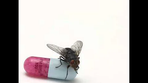 Red Hot Chili Peppers - Did I Let You Know