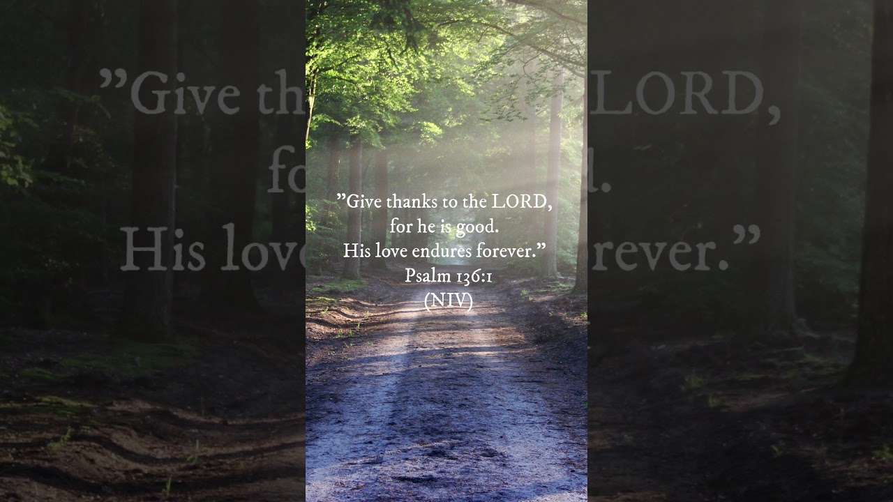 Experience God’s Endless Mercy! 