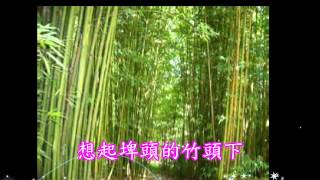 掌牛郎