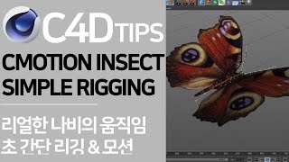 CMOTION Butterfly Rigging&Motion | 실무에서 바로 써먹을 수 있는 나비 리깅&모션 초간단 팁!