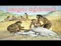 Ancient Tamil Civilization - Truths Hidden by The Indian ...