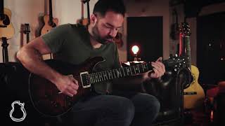 PRS Custom 24 Piezo, Black Gold | Carl Miner