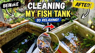 Cleaning My Fish Tank | Before & After | Relaxing Fish Video
