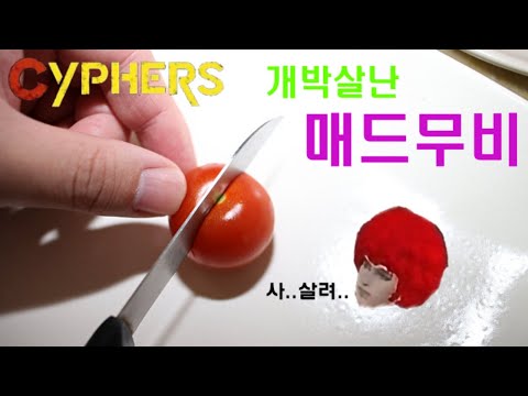 [사이퍼즈] 개박살난 매드무비 #3