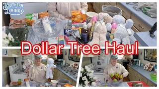 Black Bean Dollar Tree Trip Costs $62     My Unintentional Haul 2-19-2026