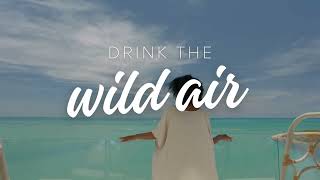 Chase the sun and let us help you plan your next tropical getaway!