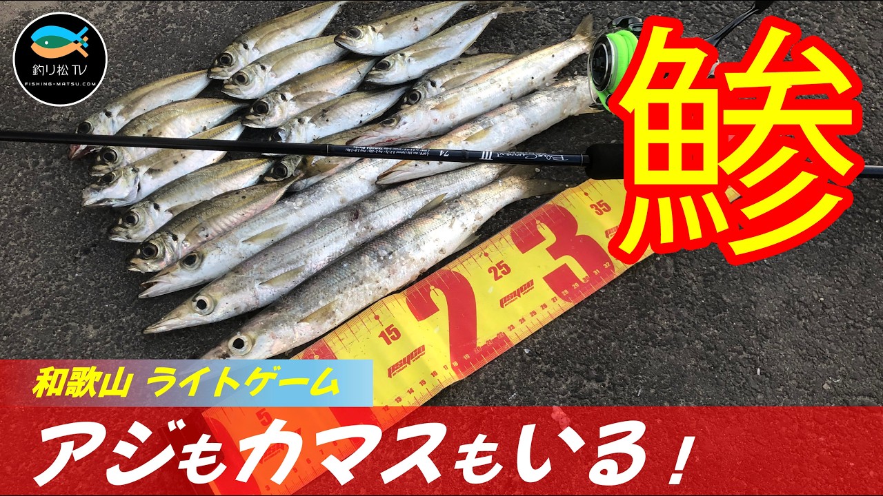 【アジング・カマスィング】まだアジいる、和歌山ライトゲーム