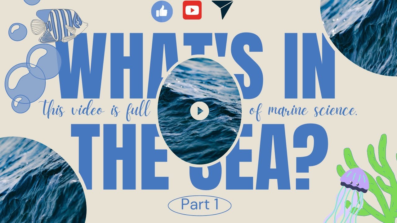 Dive into the Deep Sea Discover Amazing - YouTube