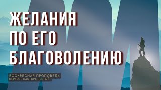 Желания по Его благоволению, И.Бахметьев