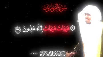 سورة المؤمنون من آية ٣٤-٤٠ بصوت ياسر الدوسري