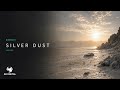 davalis - Silver Dust
