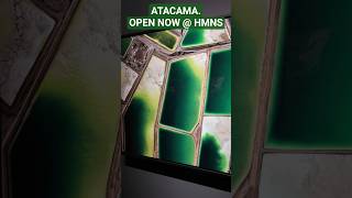 Atacama Gallery. Open NOW, at the Houston Museum of Natural Science