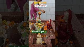 भोलेनाथ की कृपा से सब काम हो रहा है 🙏 | Shiv Mandir Darshan | #Har Har Mahadev Shorts#viral Trending