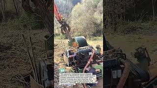 Extreme Wood Chipper Machine Turns Tree Stumps Into Chips Powerful Forestry Equipment