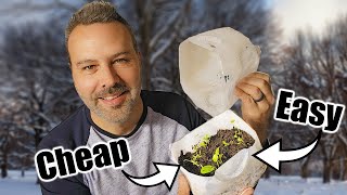 Winter Sowing! Seed Starting the EASY & CHEAP Way. 🌱 ❄️🌱❄️🌱