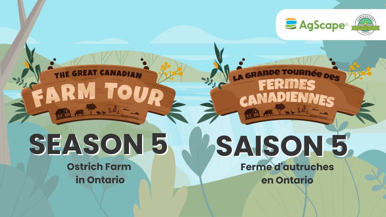 Great Canadian Farm Tour Season 5: Ostrich Farm in Ontario