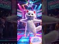 #CatDance #FunnyCat #CuteCat #AnimalDance #reels#shortvideo