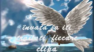 Pasarile Paradisului