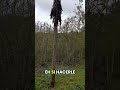 Vivencias enriquecedoras en la selva misionera. Resiliencia #crecimientopersonal #filosofia #plantas