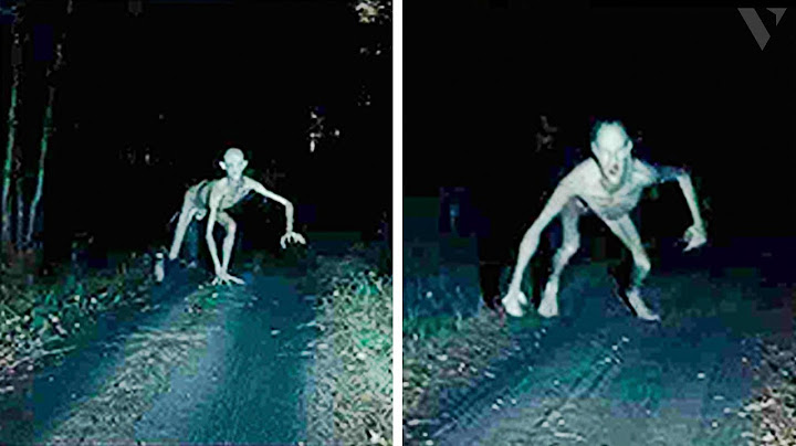 Le Ranch Skinwalker a Été Évacué Après une DÉCOUVERTE Terrifiante