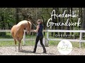 Academic art of riding  groundwork education of the horse