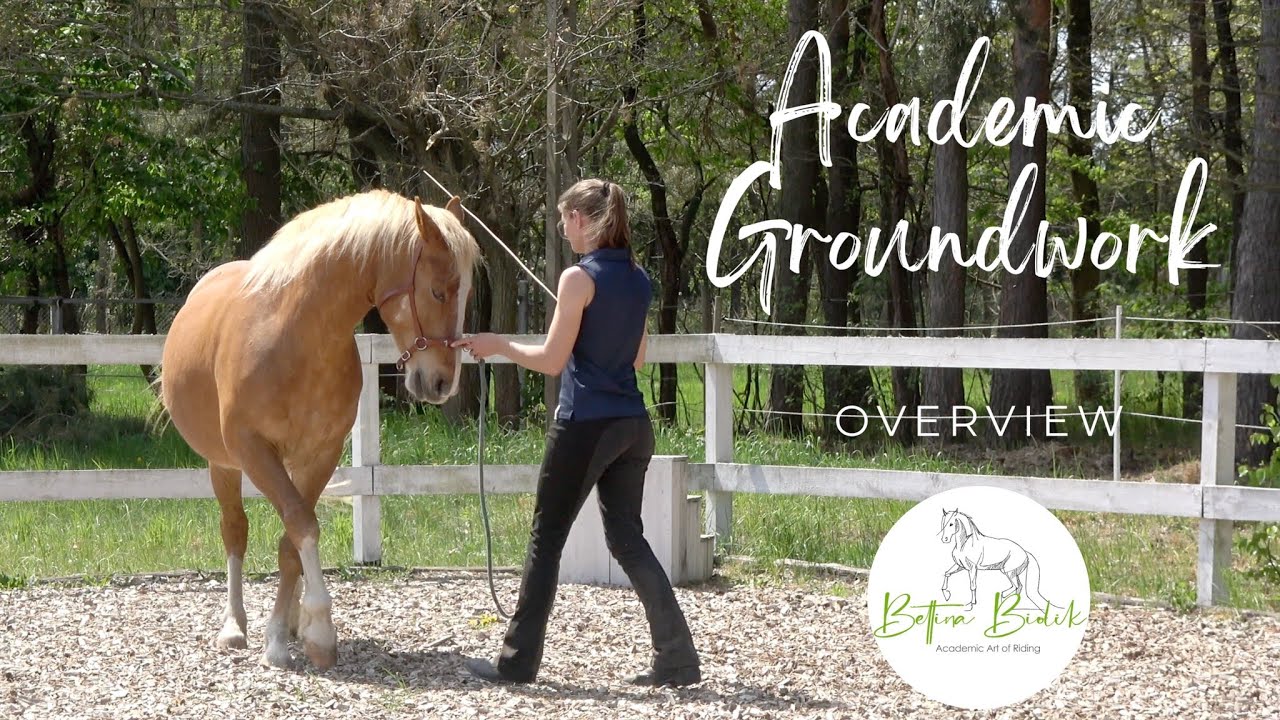 Academic Art of Riding - groundwork education of the horse
