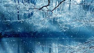 Magical Winter Ambience, Winter Christmas Screen With Music, Ambience, Soft Music. Sleep/Relax. ❄🐦 screenshot 2