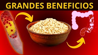 8 GRANDES BENEFICIOS de la AVENA para tu SALUD