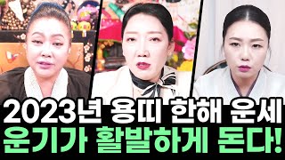 계묘년, 삼재띠인 용띠들의 운세는? 대박의 기운이 함께 들어오는 한 해가 될것!올 한해의 길흉화복을 알고 싶…