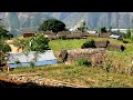 Rural Nepal  ||  Visit Around Village