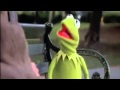 Kermit the Frog: You are 100 Percent Wrong