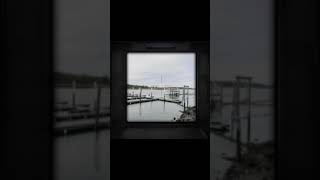 USE THIS SOUND   Hollowz { Reverb + EXTENDED}