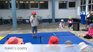 Year 3&4 ngaio got talent movie