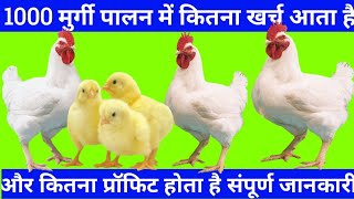 1000 Broiler chicken farming cost, poultry farm business plan, poultry farm,2024 में कमाई मोटा होगा