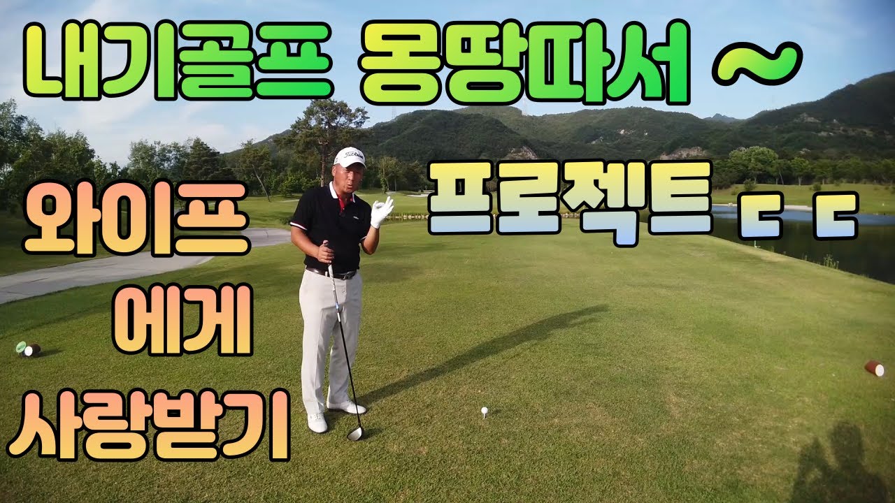 내기골프 왕창따서 와이프한테 사랑받는 특별한 방법입니다  01054786658  용아저씨리뷰